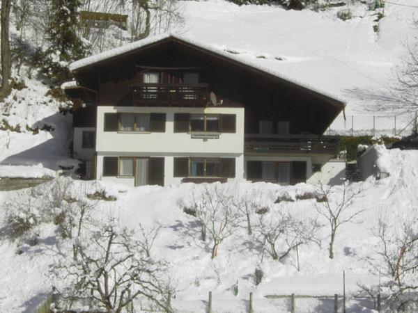 Ferienwohnung Gästehaus Andrea Schruns Exterior foto